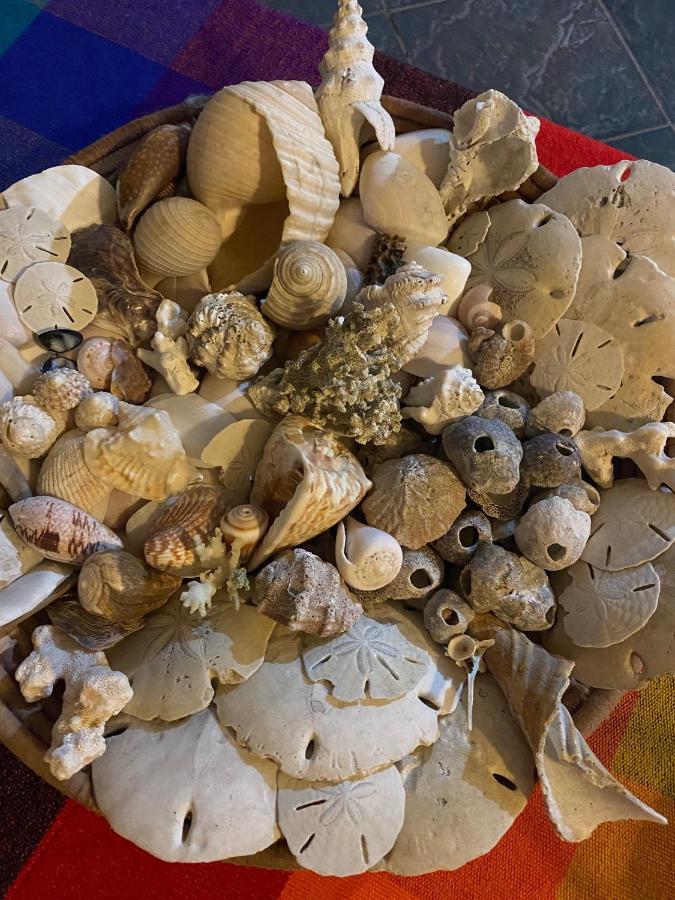 Uverito Sand Dollar B&B Las Tablas Extérieur photo