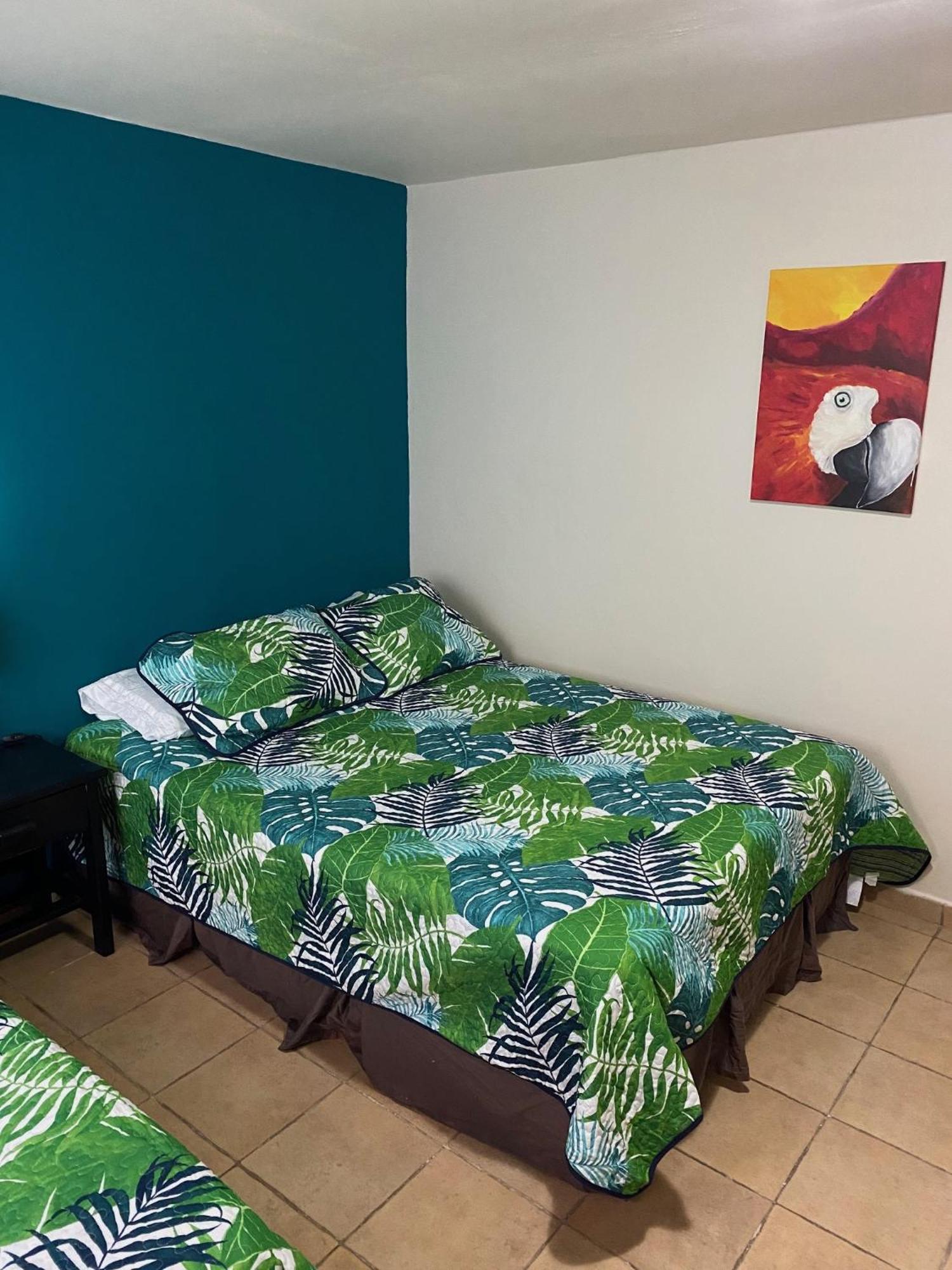 Uverito Sand Dollar B&B Las Tablas Extérieur photo